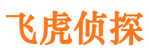 岷县侦探公司